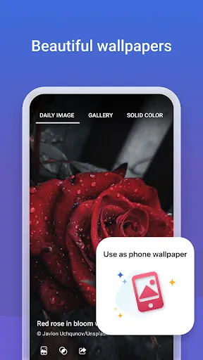 Bing APK