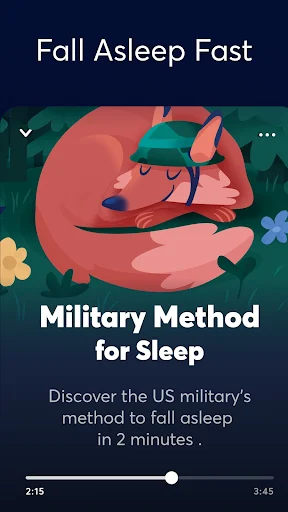 BetterSleep MOD