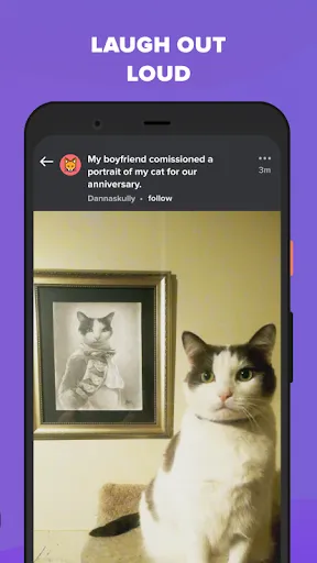 Imgur Mod