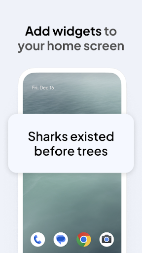Daily Random Facts