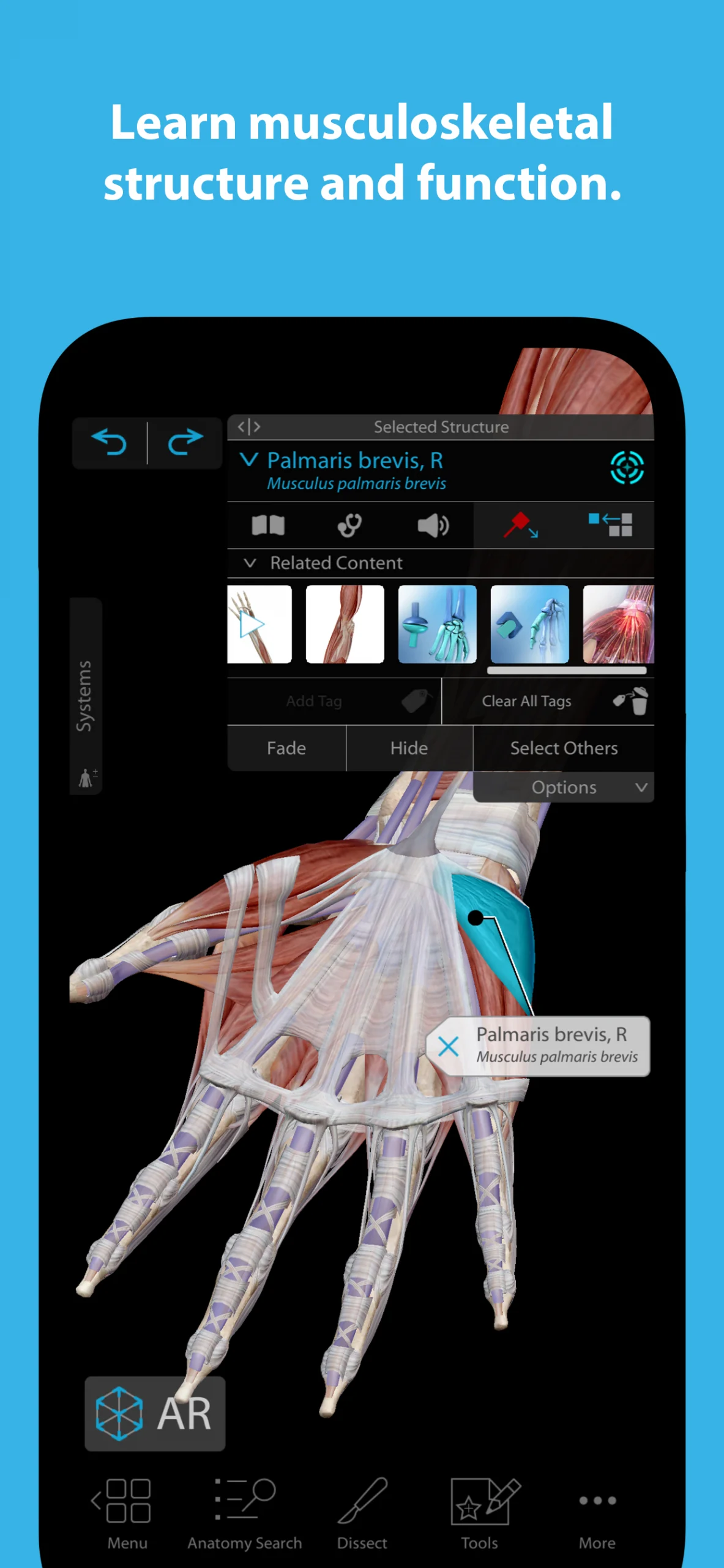 Human Anatomy Atlas 2025.00.012