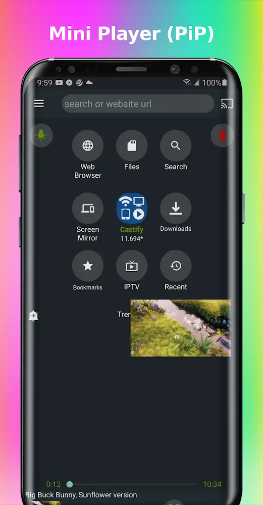 Castify v12.247