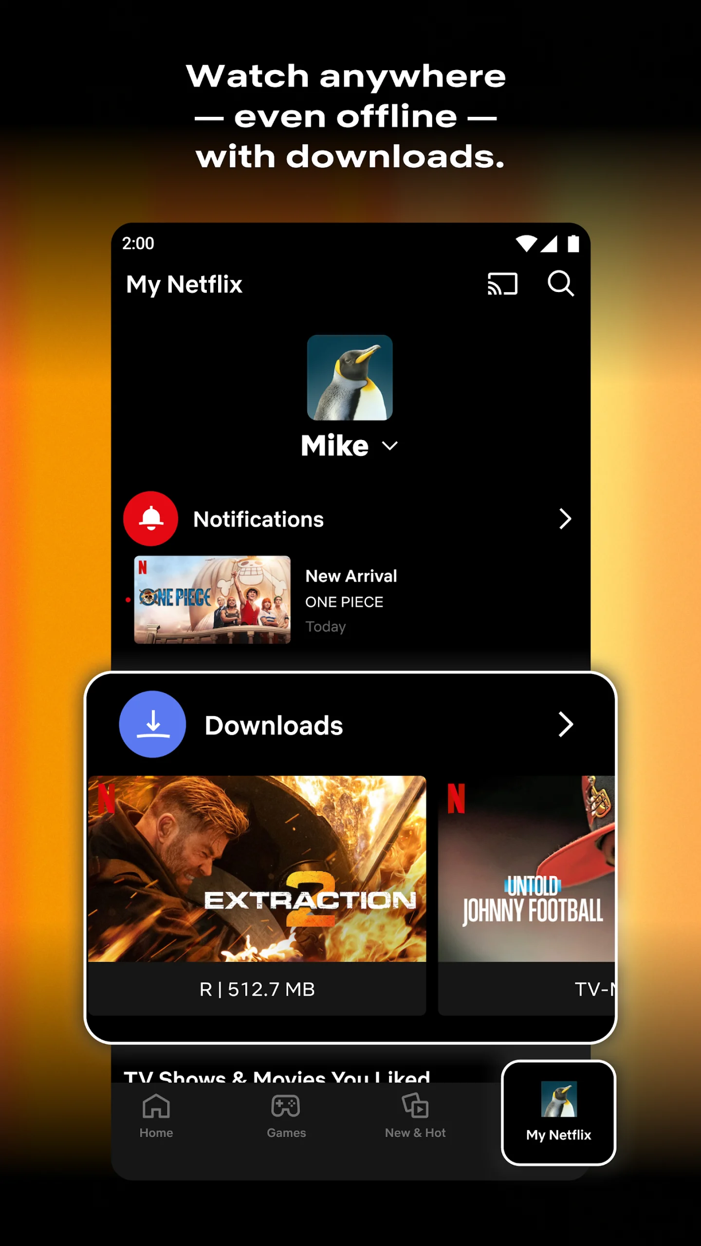 Netflix Mod APK 8.142.1