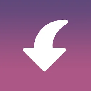 Insget - Instagram Downloader 3.11.6 APK