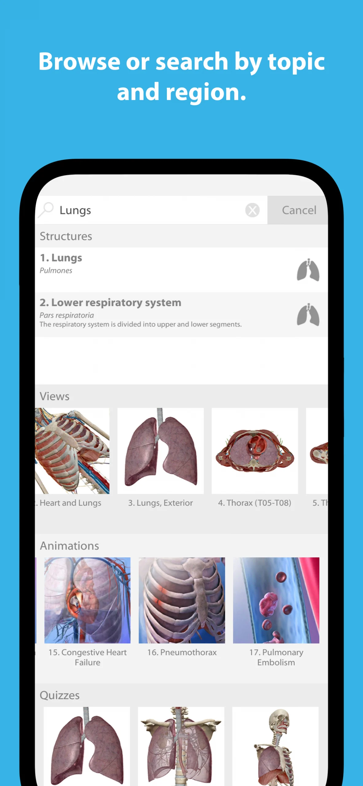 Human Anatomy Atlas 2025.00.012