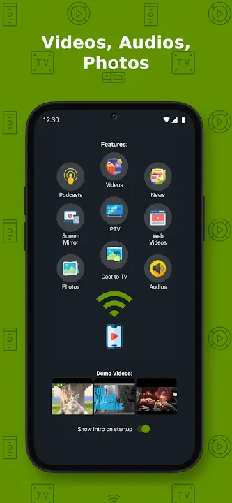 Castify v12.250