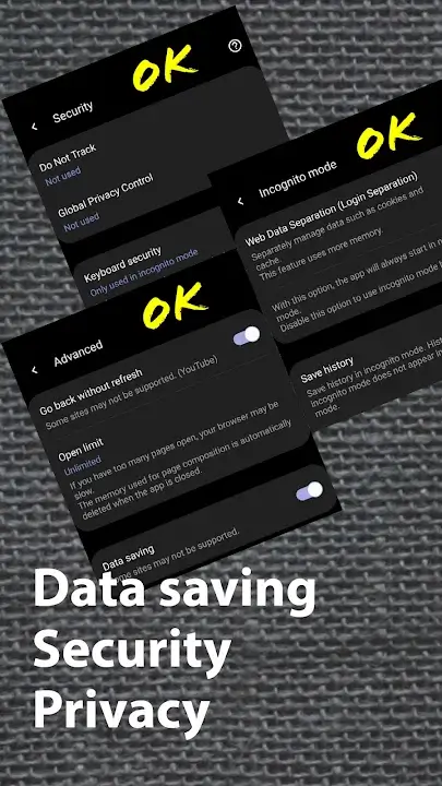 Soul Browser v1.4.58