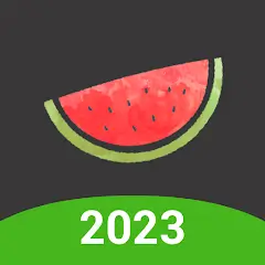 Melon VPN Mod