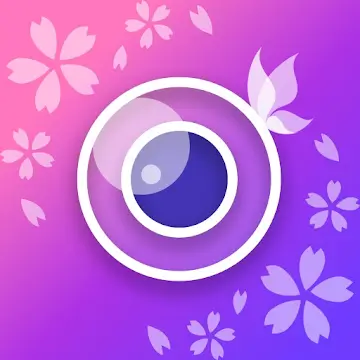 YouCam Perfect Mod