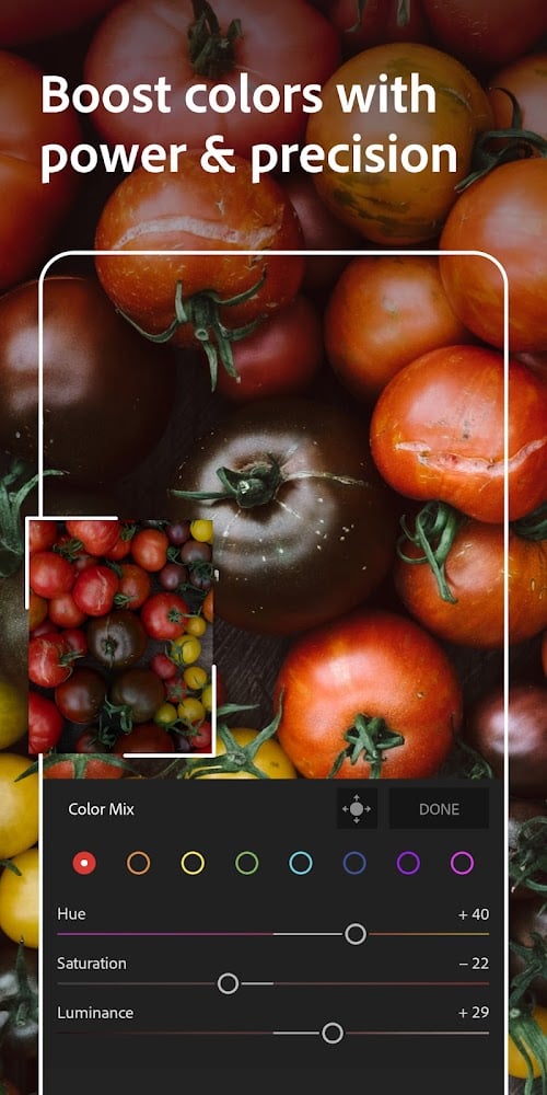 Adobe Lightroom