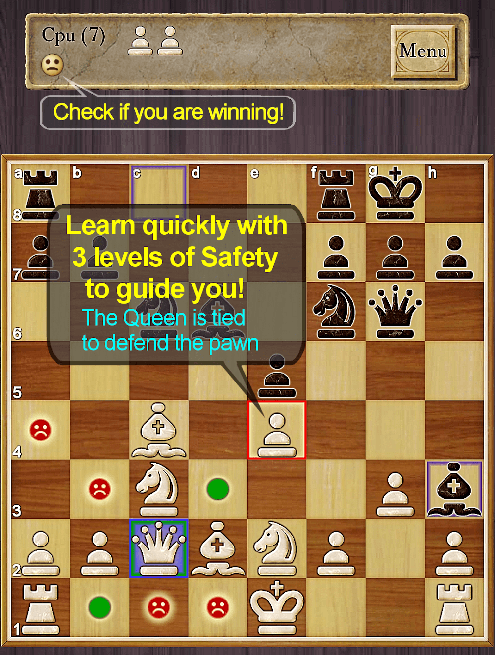 Chess Pro