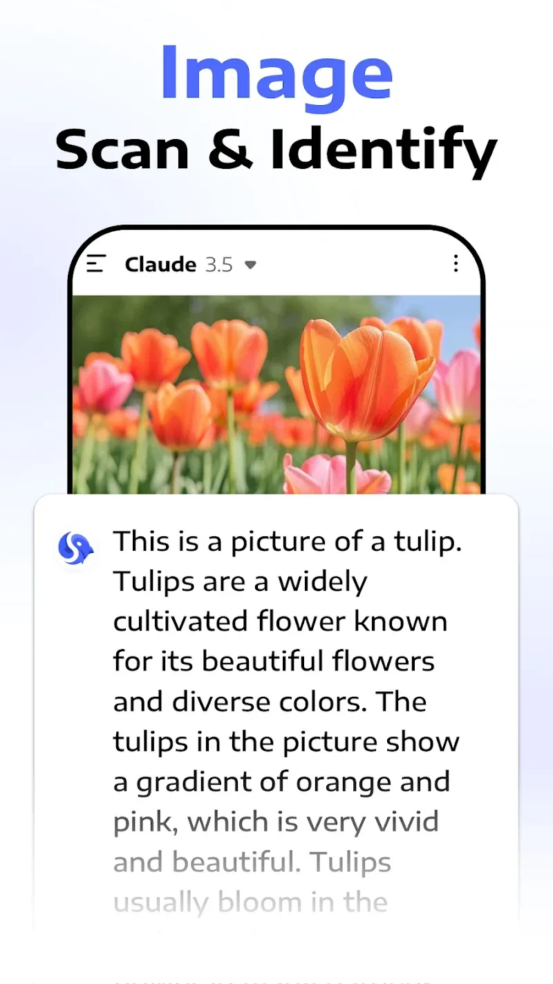 Deep Think - AI Seek v1.2.0-25022863