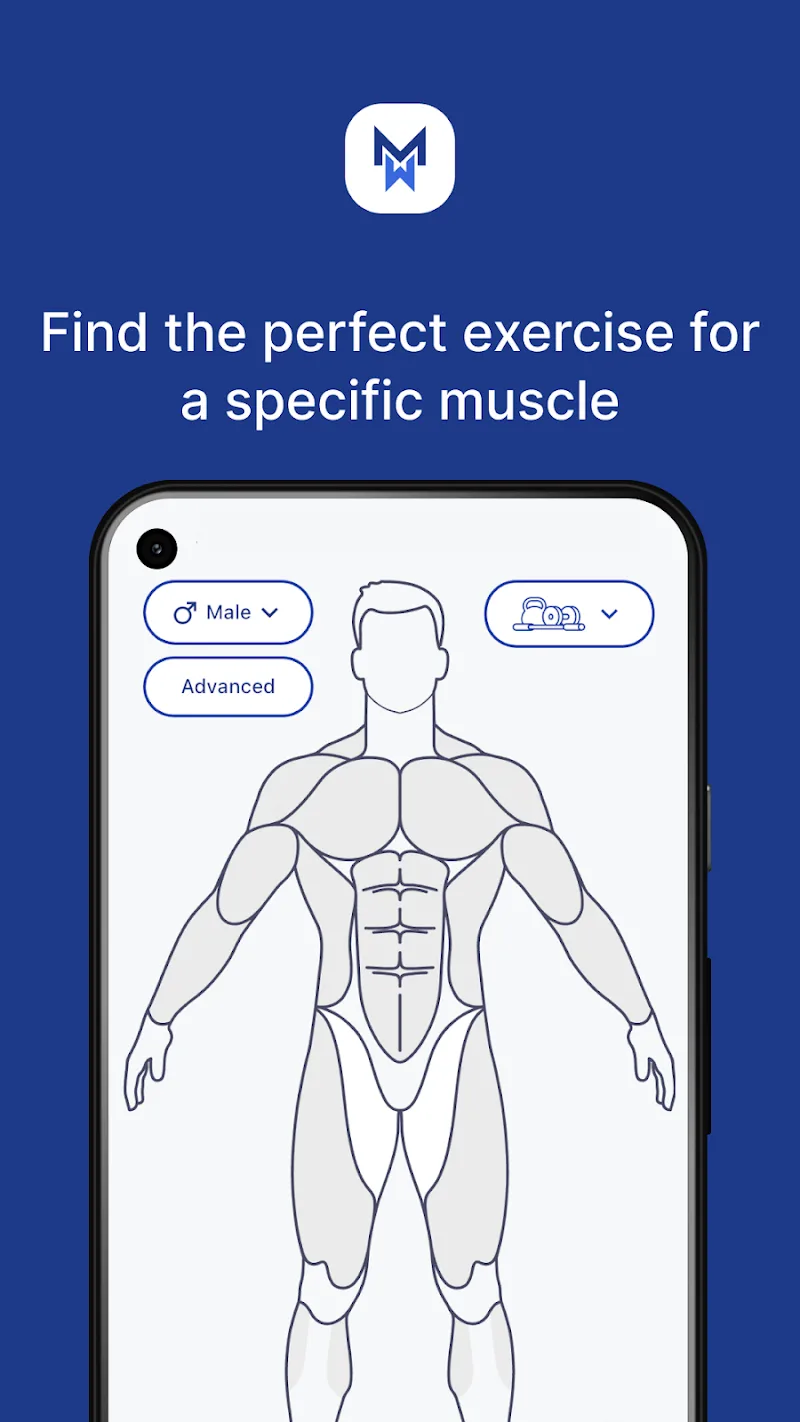 MuscleWiki Premium