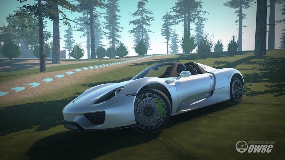 OWRC: Open World Racing Mod
