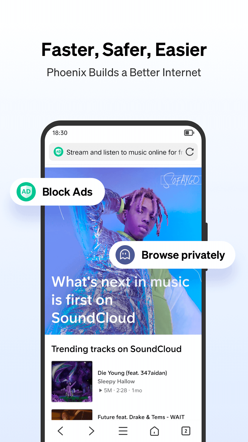 Phoenix Browser