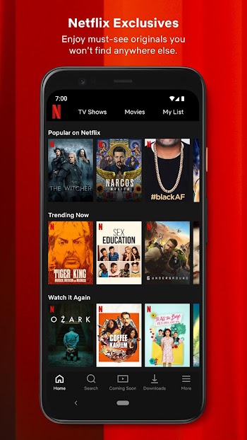 Netflix Mirror APK
