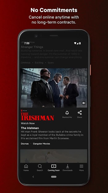 Netflix Mirror APK