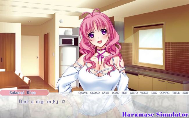 Haramase Simulator v0.4.0.3