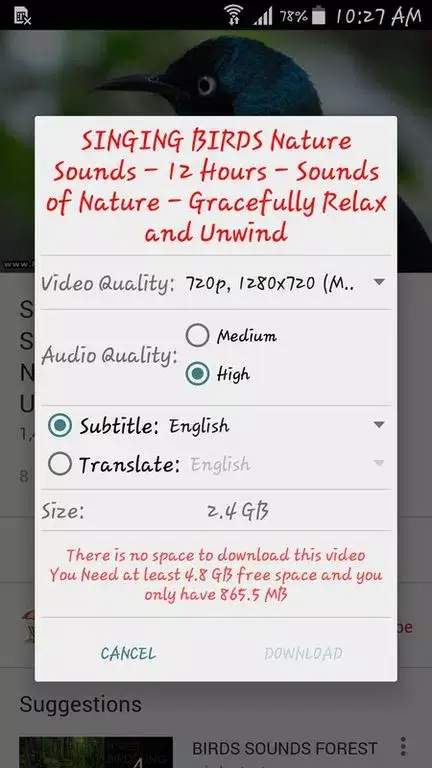 OG Youtube