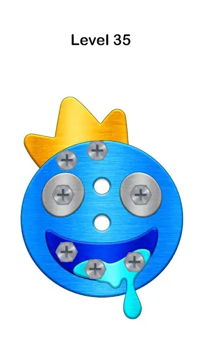Screw Puzzle