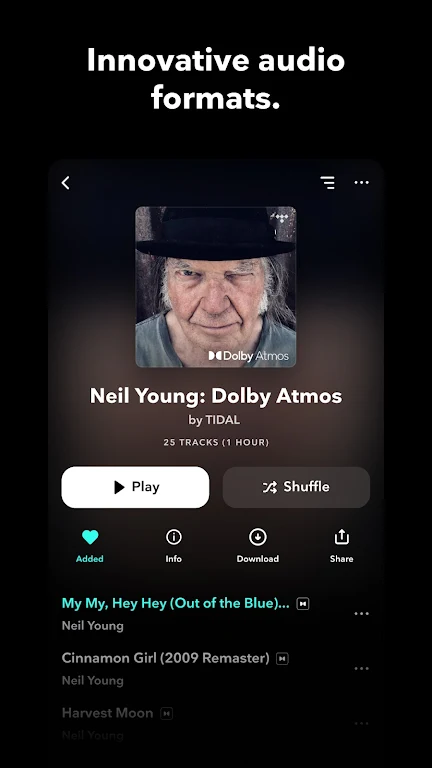 TIDAL Mod