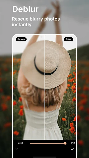 PhotoDirector APK