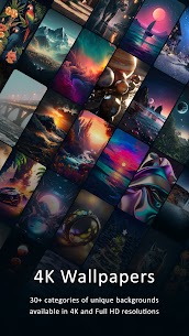 Wallpaper Flare