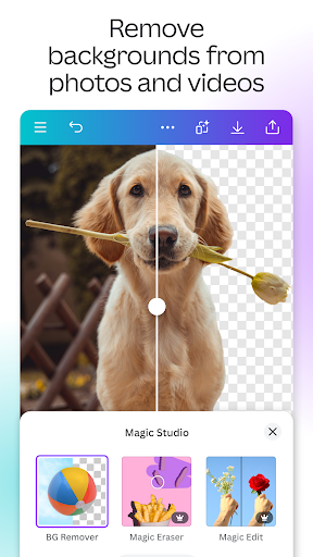 Canva 2.308.0