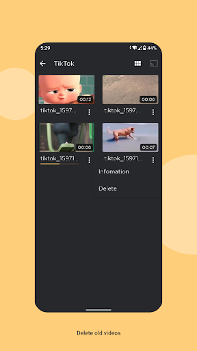 TPlayer 7.6b