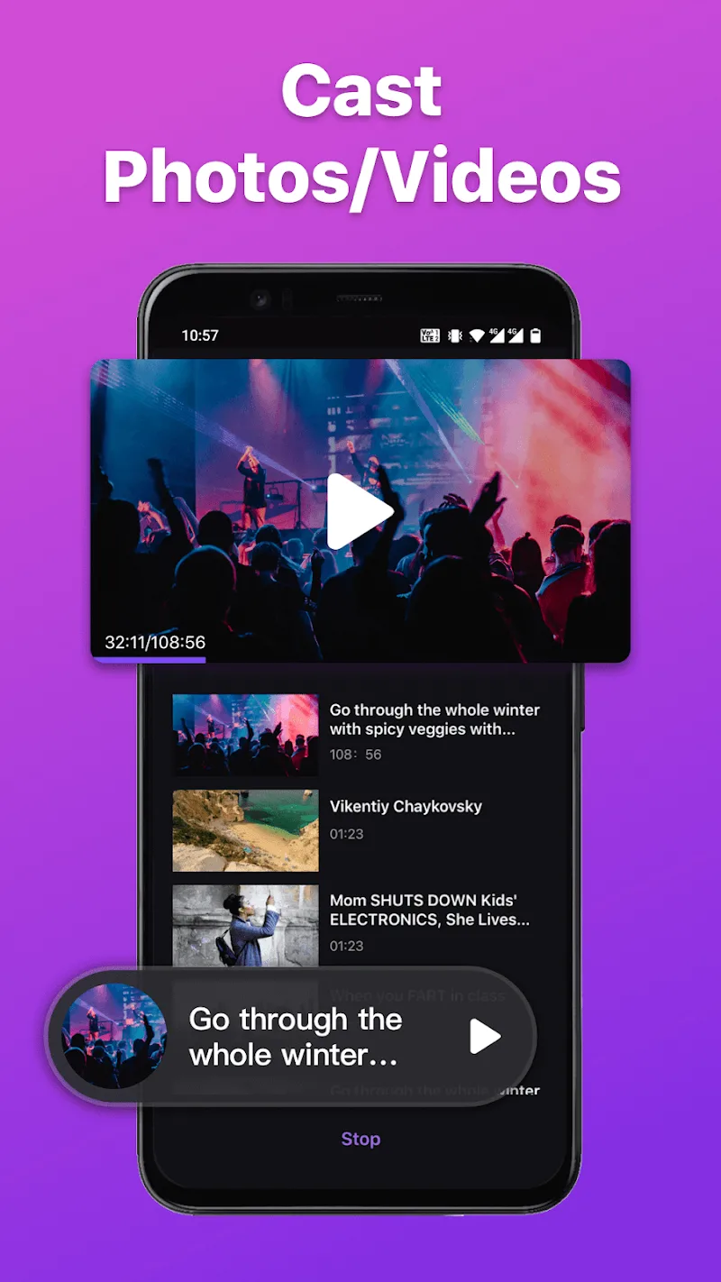 Roku Remote