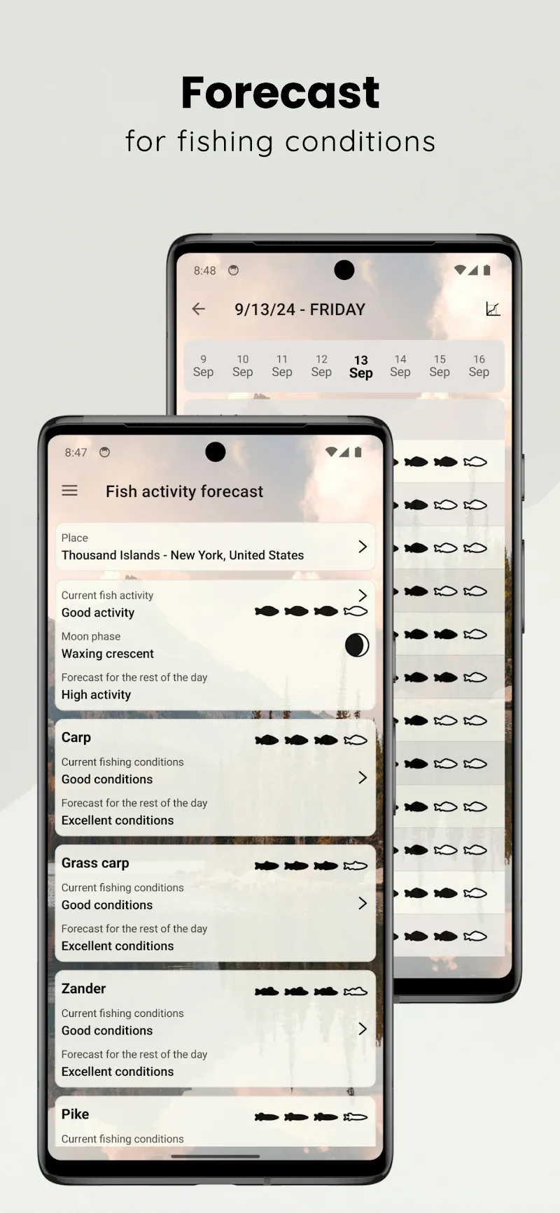 When to Fish