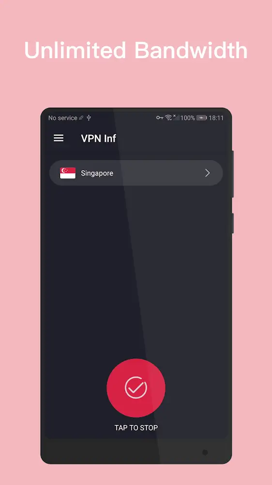 VPN Inf