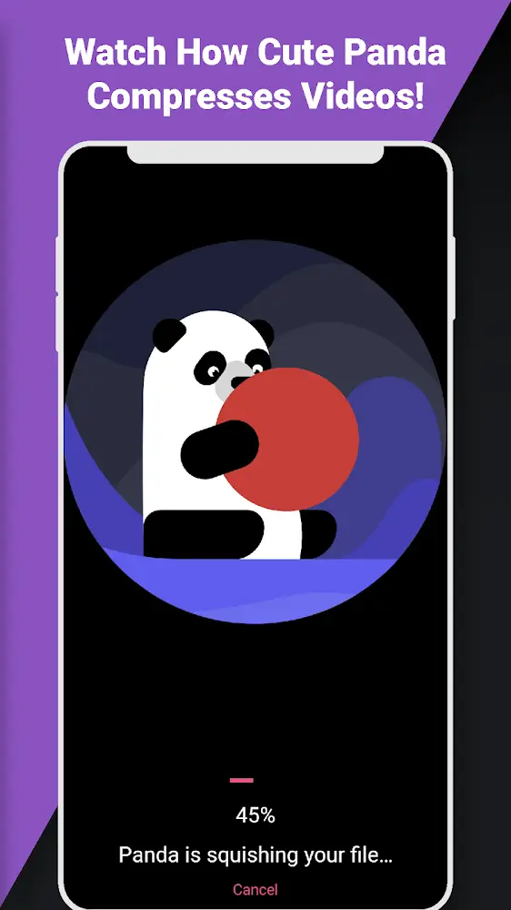 Video Compressor Panda