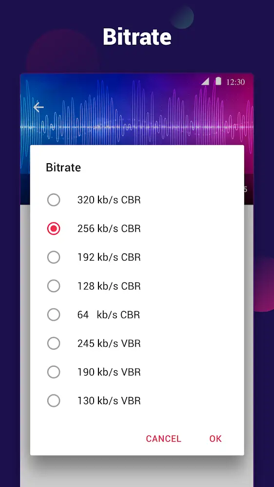 Video to MP3 Converter