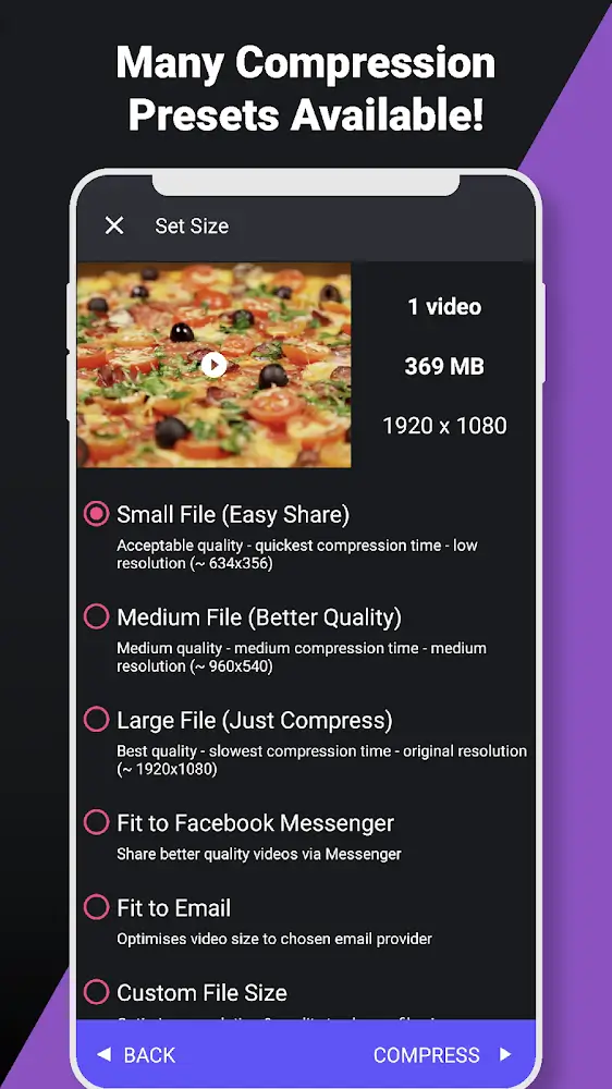 Video Compressor Panda