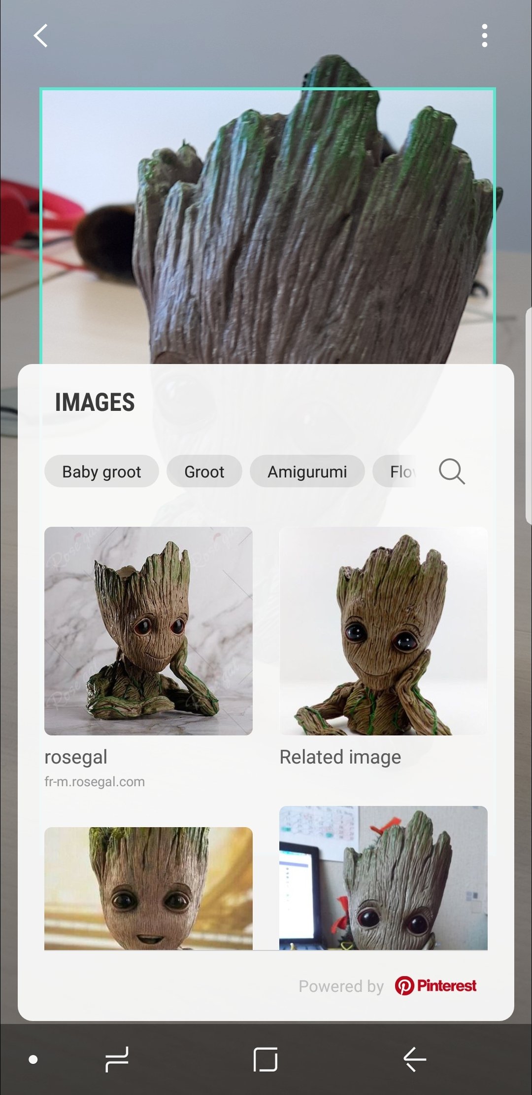 Bixby Vision