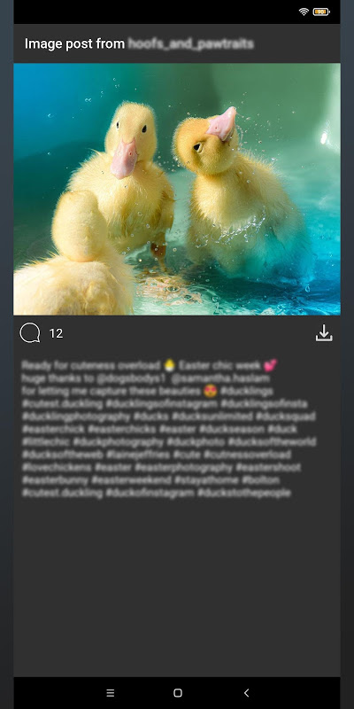 [OPENSOURCE] InstaGrabber - Instagram downloader