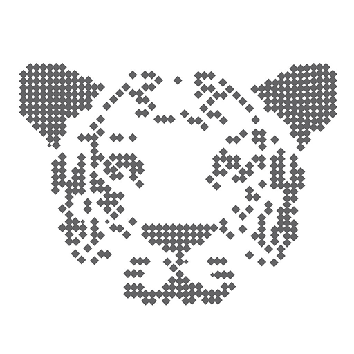 Tiger — Algebra & Maths Solver with Solution