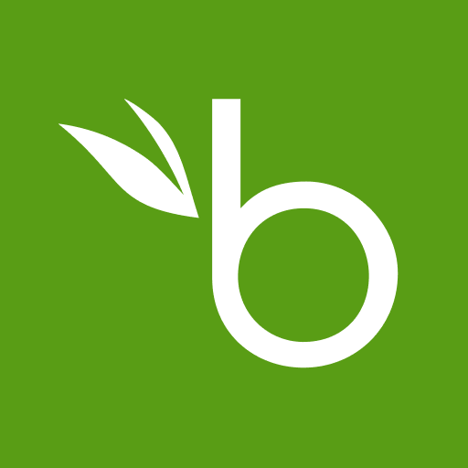 BambooHR Mod