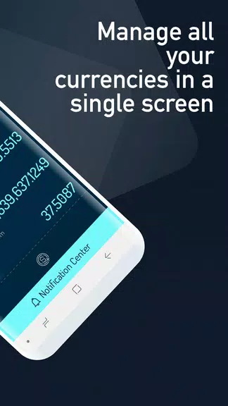 Cryptocurrency Rate Converter