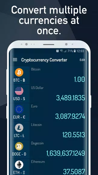 Cryptocurrency Rate Converter
