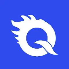 Quick VPN Mod