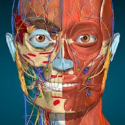 Anatomy Learning 3.1.461 APK + MOD [Full Unlocked]