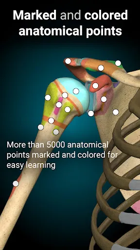 Anatomy Learning 3.1.461 APK + MOD [Full Unlocked]