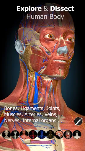 Anatomy Learning 3.1.461 APK + MOD [Full Unlocked]