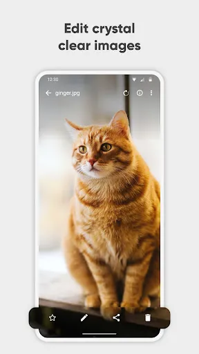 Simple Gallery Pro APK