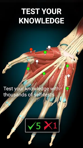 Anatomy Learning 3.1.461 APK + MOD [Full Unlocked]