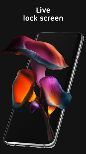 Pixel 4D Live Wallpapers