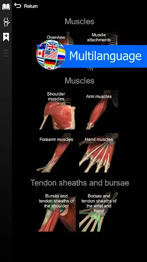 Anatomy Learning 3.1.461 APK + MOD [Full Unlocked]
