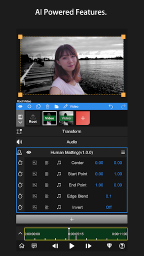 Node Video Mod